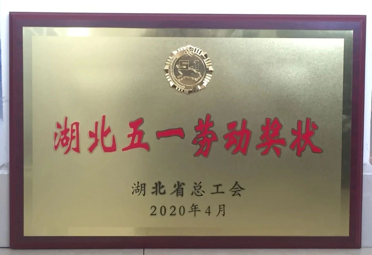 喜讯||时博（中国）重工又获省级殊荣